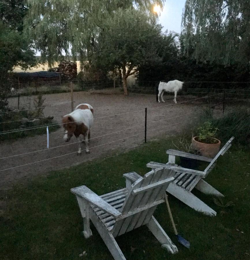 Ferienwohnung Alte Scheune Egestorf Exteriér fotografie